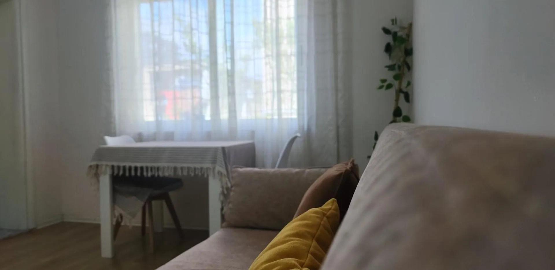 Helianthus, By Bloom Apartments In Central Tirana Albania